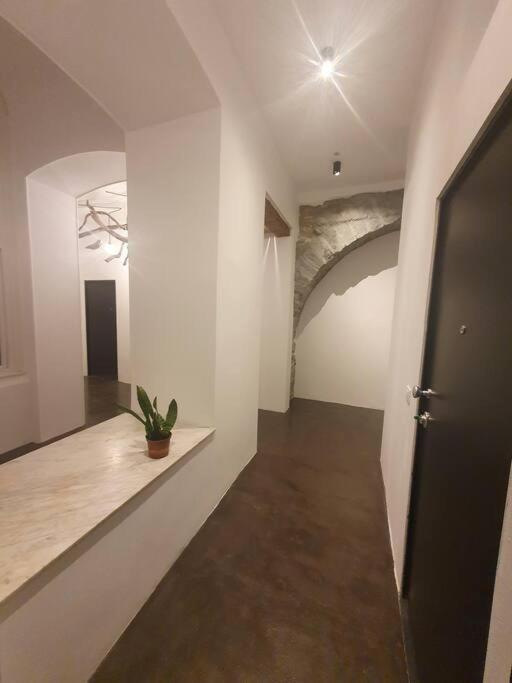 L'Arco Trieste Studio Living 2 Eksteriør bilde